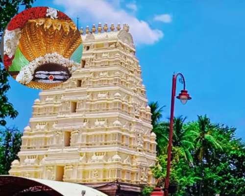 Mallikarjuna Andhra Pradesh